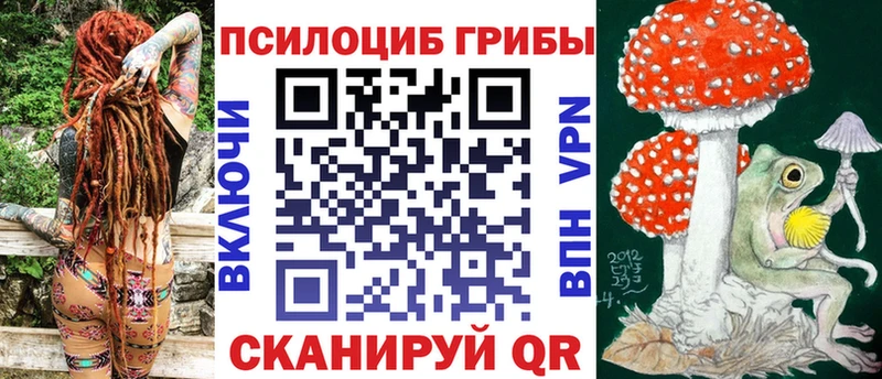 сколько стоит  Дербент  Галлюциногенные грибы прущие грибы 